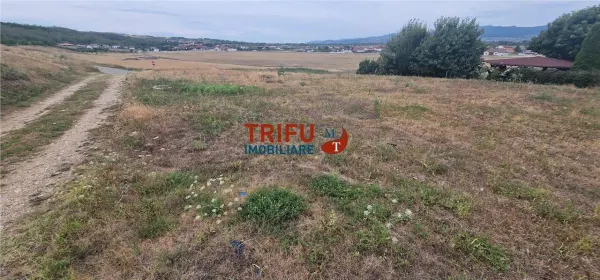 Teren Seusa - poza 6