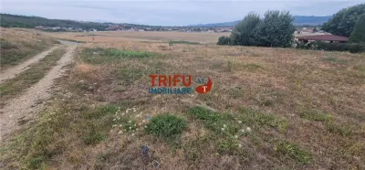 Teren Seusa - poza 6