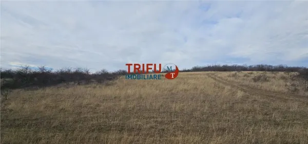 Teren Alba Iulia - poza 2