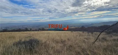 Teren Alba Iulia - poza 3