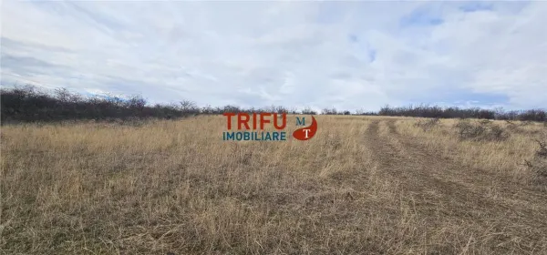 Teren Alba Iulia - poza 5