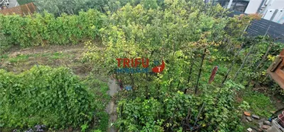 Teren Alba Iulia - poza 12