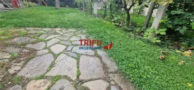 Teren Alba Iulia - poza 14
