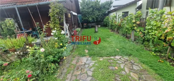 Teren Alba Iulia - poza 20