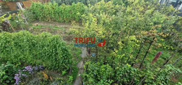 Teren Alba Iulia - poza 7