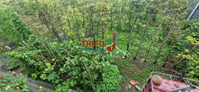 Teren Alba Iulia - poza 10