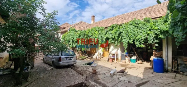 Casă 3 camere Ighiu - poza 3