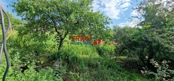 Casă 3 camere Ighiu - poza 10