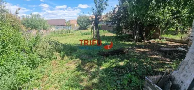 Casă 3 camere Alba Iulia - poza 11