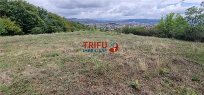 Teren Alba Iulia - poza 2