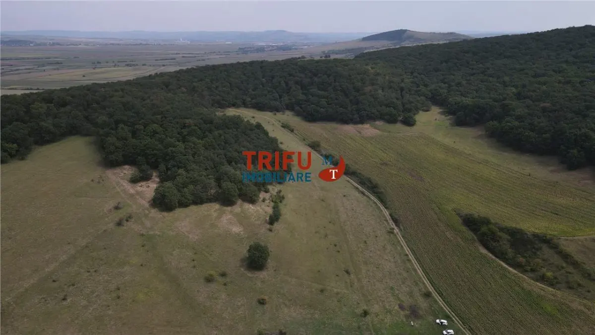 Teren Șard - poza 1