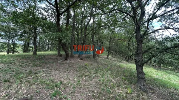 Teren Șard - poza 13