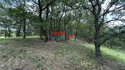 Teren Șard - poza 13