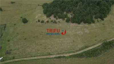 Teren Șard - poza 4