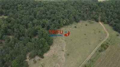 Teren Șard - poza 5