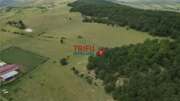 Teren Șard - poza 6