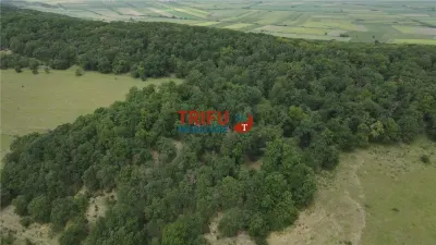 Teren Șard - poza 7