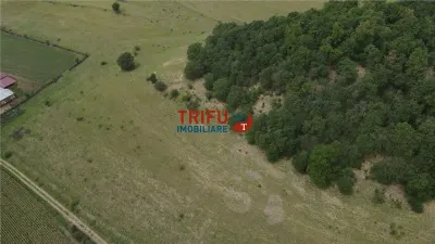 Teren Șard - poza 8