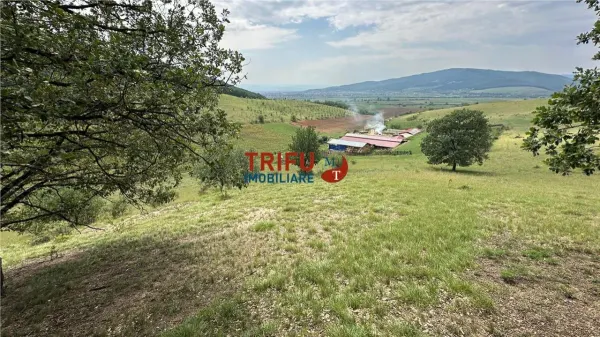 Teren Șard - poza 9