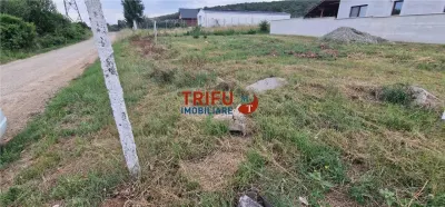 Teren Alba Iulia - poza 5