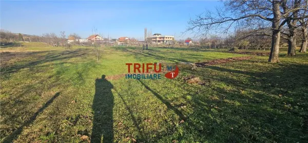 Teren Alba Iulia - poza 3