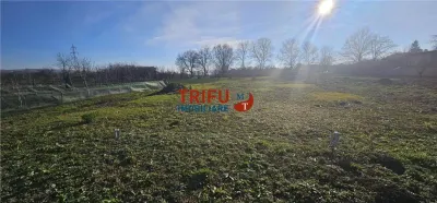 Teren Alba Iulia - poza 4