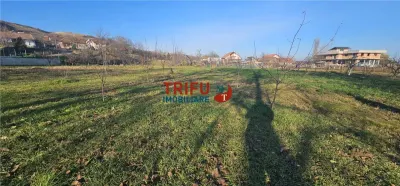 Teren Alba Iulia - poza 6