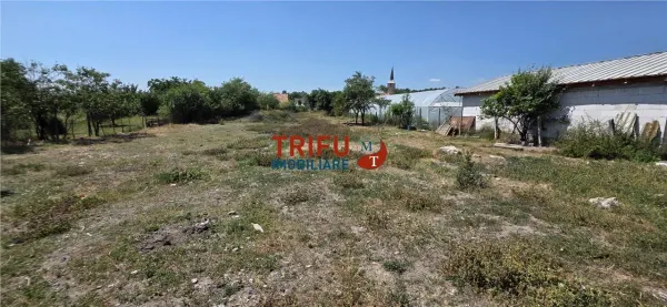 Casă 3 camere Cricău - poza 5
