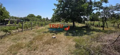 Casă 3 camere Cricău - poza 7