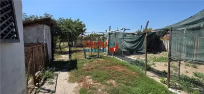 Casă 3 camere Cricău - poza 8
