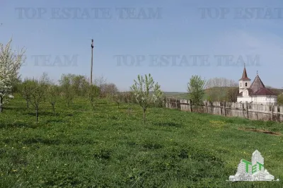 Teren Loamnes - poza 2