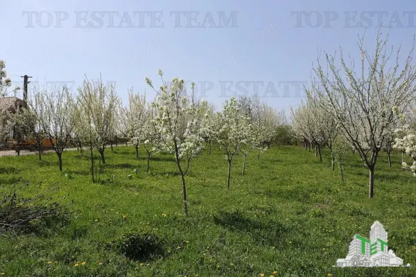 Teren Loamnes - poza 4