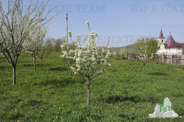 Teren Loamnes - poza 6