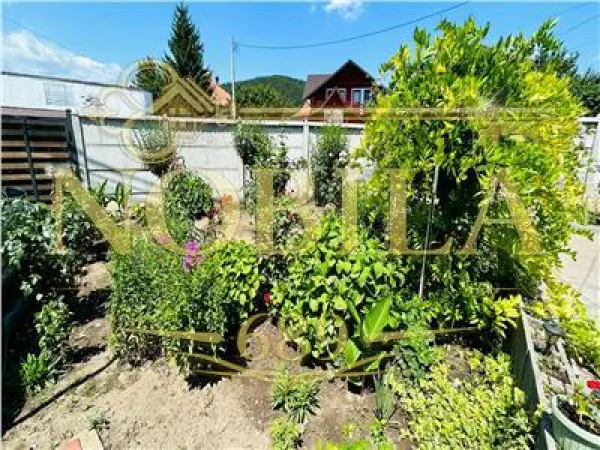 Casă 5 camere Târgu Ocna - poza 1
