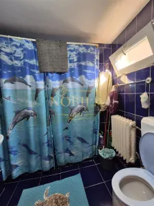 Casă 5 camere Târgu Ocna - poza 25