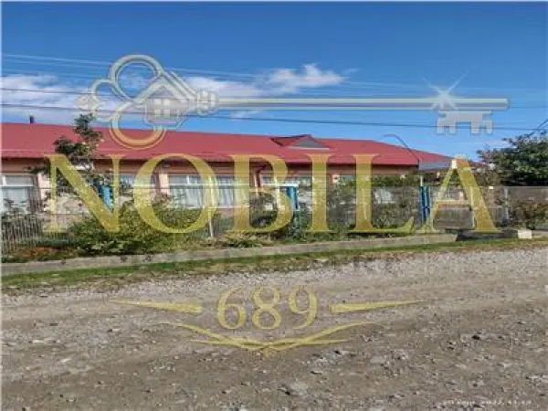 Spațiu comercial Buciumi - poza 1