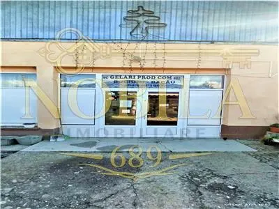 Spațiu comercial Buciumi - poza 7