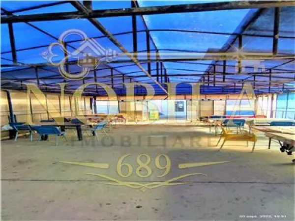 Spațiu comercial Buciumi - poza 8