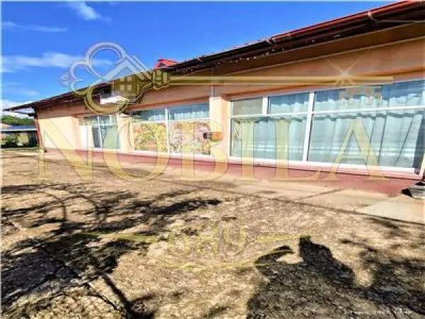 Spațiu comercial Buciumi - poza 10
