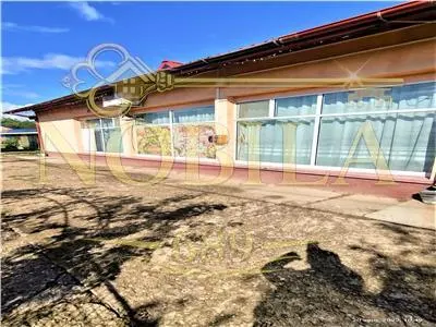 Spațiu comercial Buciumi - poza 10