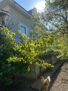 Casă 7 camere Onești - poza 4