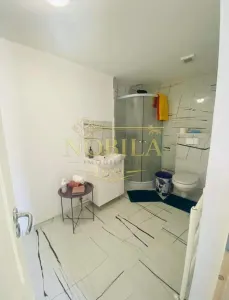 Spațiu comercial Onești - poza 15