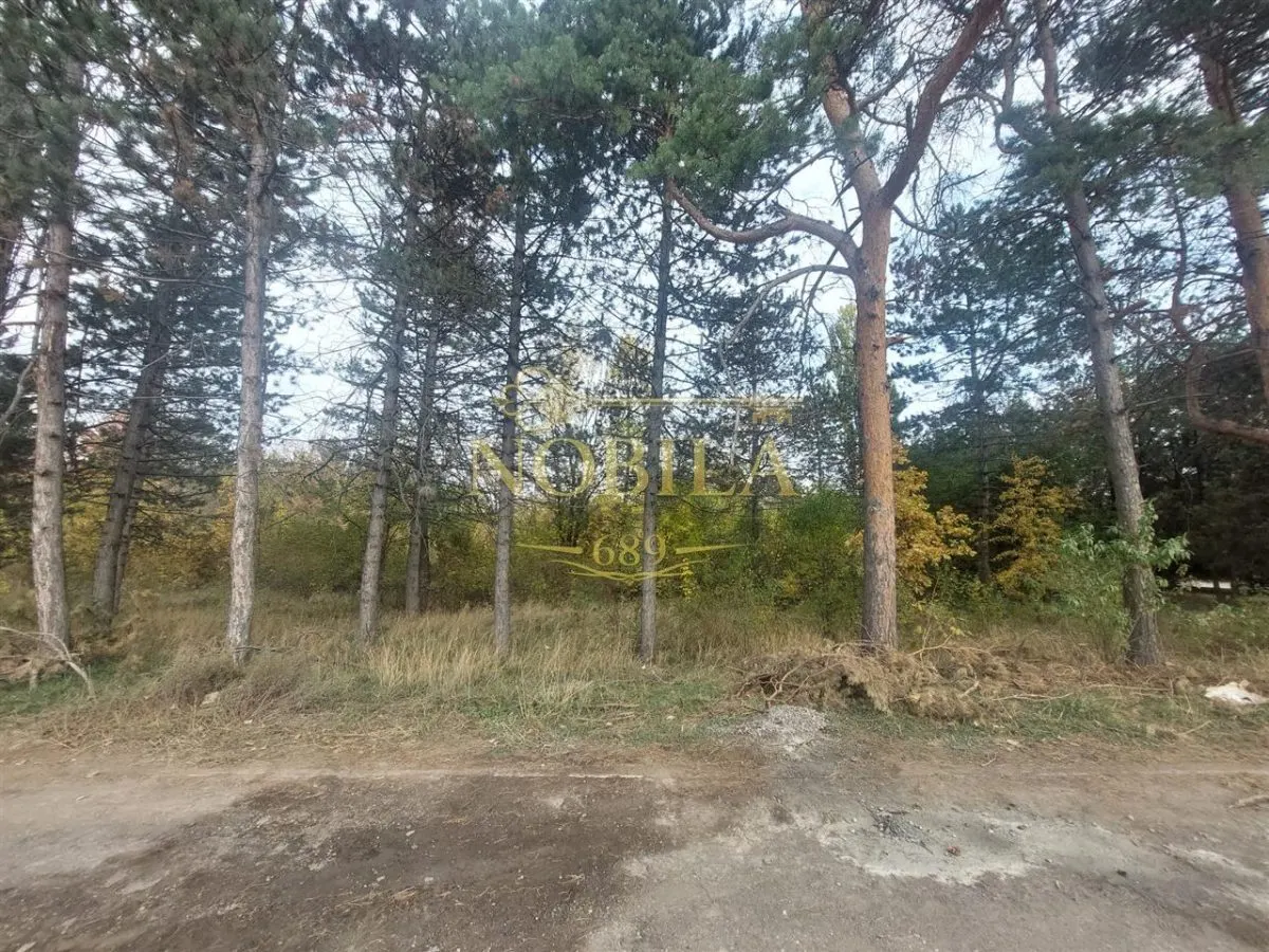Teren Onești - poza 1