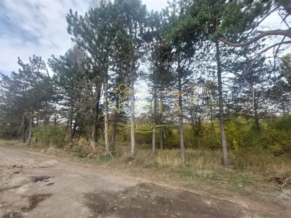 Teren Onești - poza 3