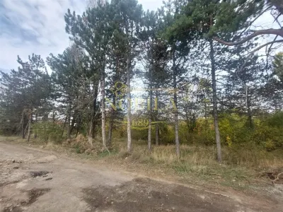 Teren Onești - poza 3