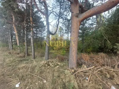 Teren Onești - poza 5
