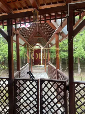 Casă 10 camere Manastirea Casin - poza 1
