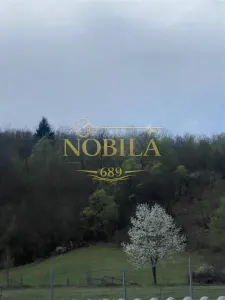 Casă 10 camere Manastirea Casin - poza 2