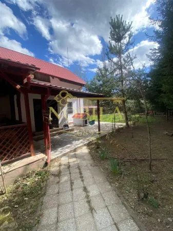 Casă 10 camere Manastirea Casin - poza 3