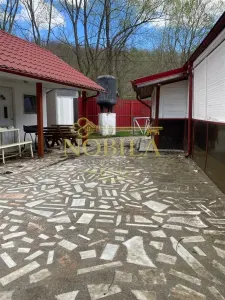 Casă 10 camere Manastirea Casin - poza 23